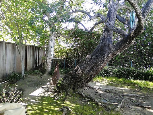 CrownridgeDrive3531 2015-02-09 TJW 094