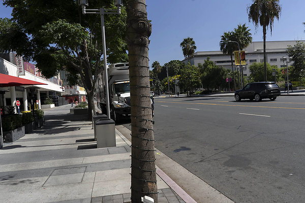 Kendalls Brasserie 20180913046