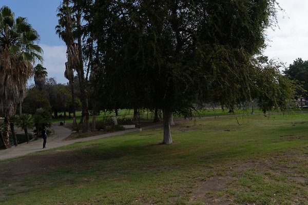 Lincoln Park 180911JH056 Lincoln Park 180911JH056