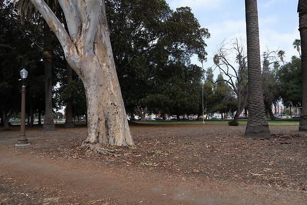 Lincoln Park 180911JH038 Lincoln Park 180911JH038