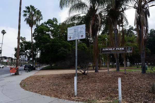 Lincoln Park Daytime