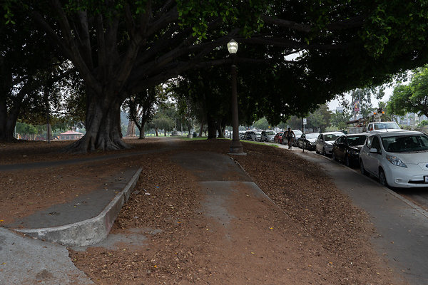 Lincoln Park 180911JH036 Lincoln Park 180911JH036