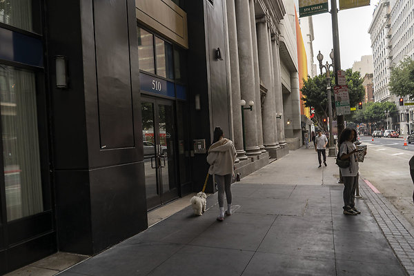 Security Bldg Creative Scout