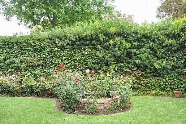 film location418809 26 12 film location418809 26 12