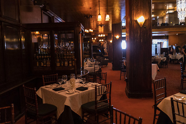 CicadaScout20180925JH027