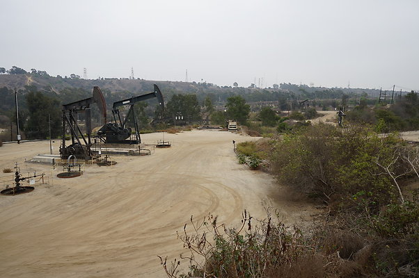 Oil Fields Oil Fields